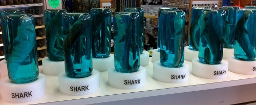 dog sharks in jars
