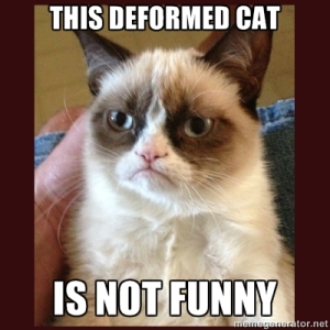 This deformed cat is not funny