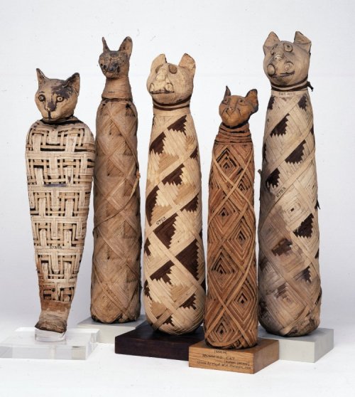 Cat mummies.  Source: British Museum.