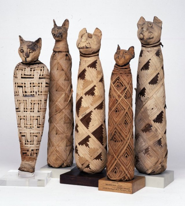 Ancient Egyptians Factory-Farmed Animals for “Votive Mummies” |  Animalfeasance