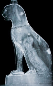 X-ray of kitten mummy inside votive cat figure.